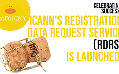 ICANN’s Registration Data Request Service (RDRS) is launched!